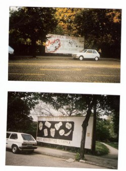 Plakataktion in Wiener Neustadt